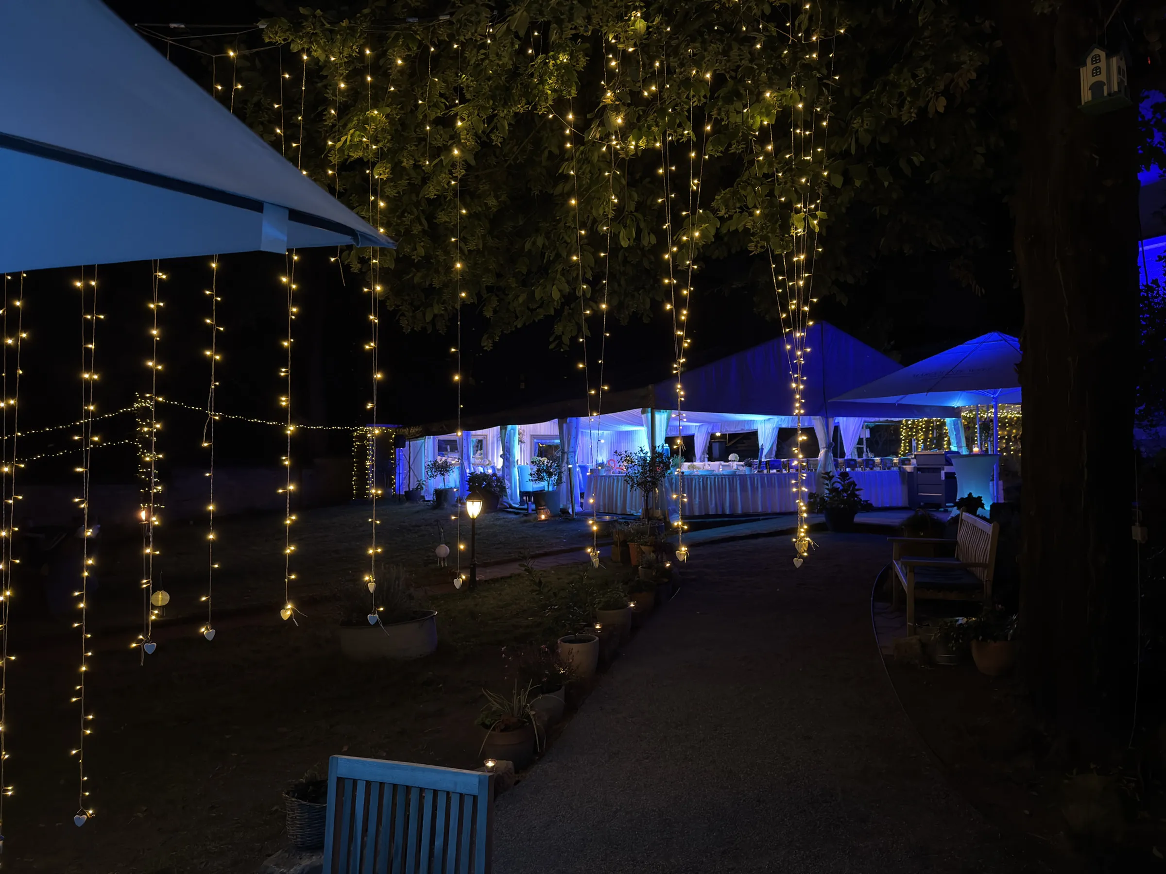 Marcolinis Welt bei Nacht